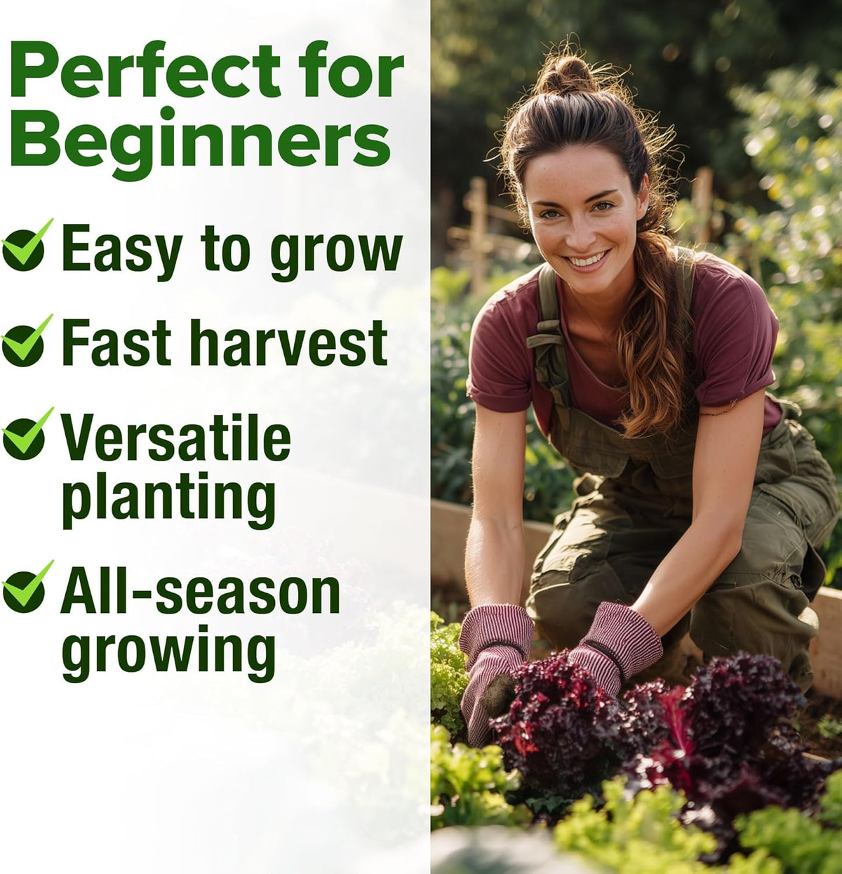 HOME GROWN Lettuce Seeds for Planting - 8 Varieties Non-GMO Heirloom Salad Greens Seeds - 9000+