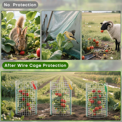 10-Set 12” x 24” Plant Protector from Animals, Hot-Dip Galvanized Metal Mesh Plant Cages