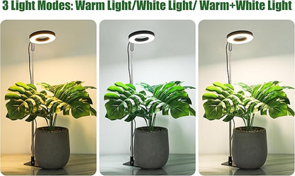 48 LEDs Full Spectrum Grow Lights for Indoor Plants, Height Adjustable, Small Black Halo Plant