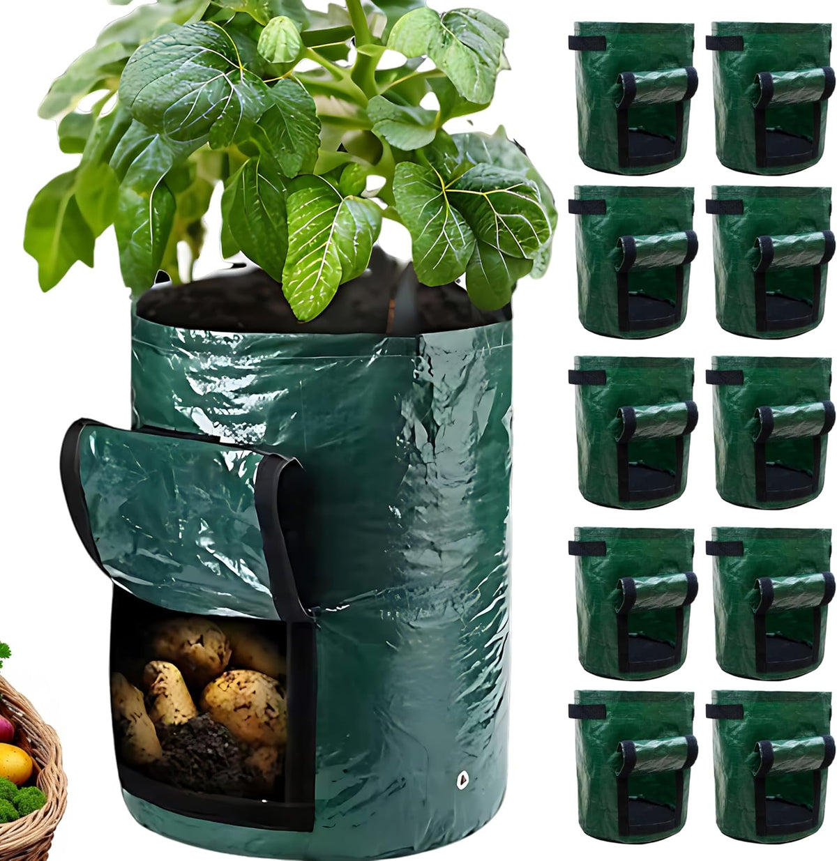 SunVara Potato Grow Bags 10 Gallon 10 Pack for Growing Potatoes Plant Grow Bags Potato Garden Bags