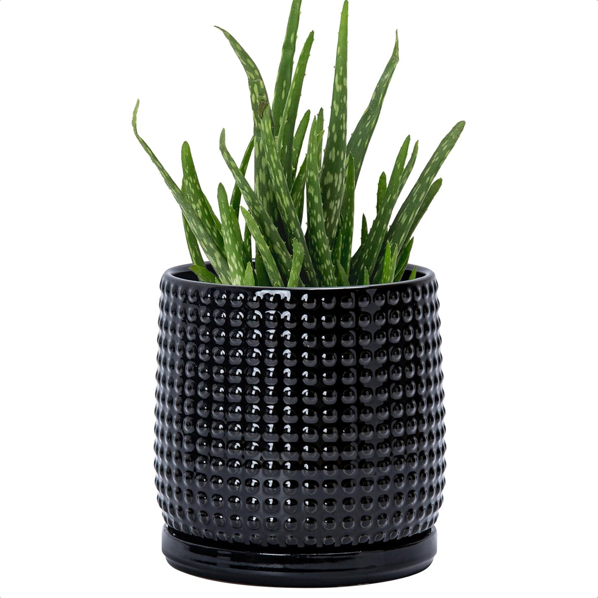 D'vine Dev 6 Inch Ceramic Beaded Stoneware Planter Pot - Flower Pot with Drainage Holes and Saucers