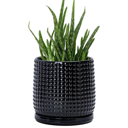 D'vine Dev 6 Inch Ceramic Beaded Stoneware Planter Pot - Flower Pot with Drainage Holes and Saucers