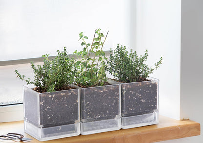 D'vine Dev 4 Inch Herb Planter Pot, Plastic Planter with Drainage Holes and Saucer, Modern