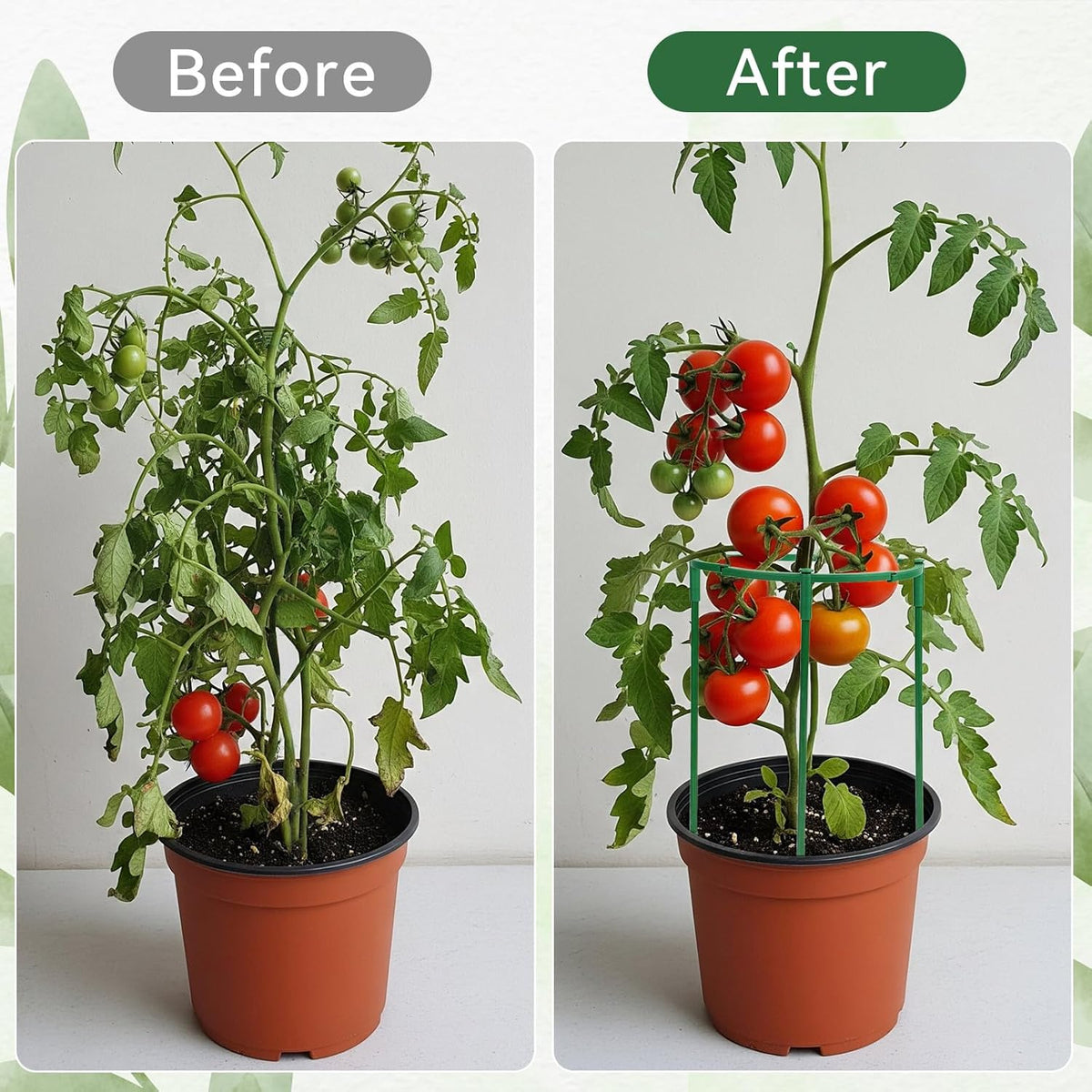 12 Pack Plant Support Stakes, 6.3 x 5.9 Inch Plastic Plant Cage Holders, Half Round Plants Support
