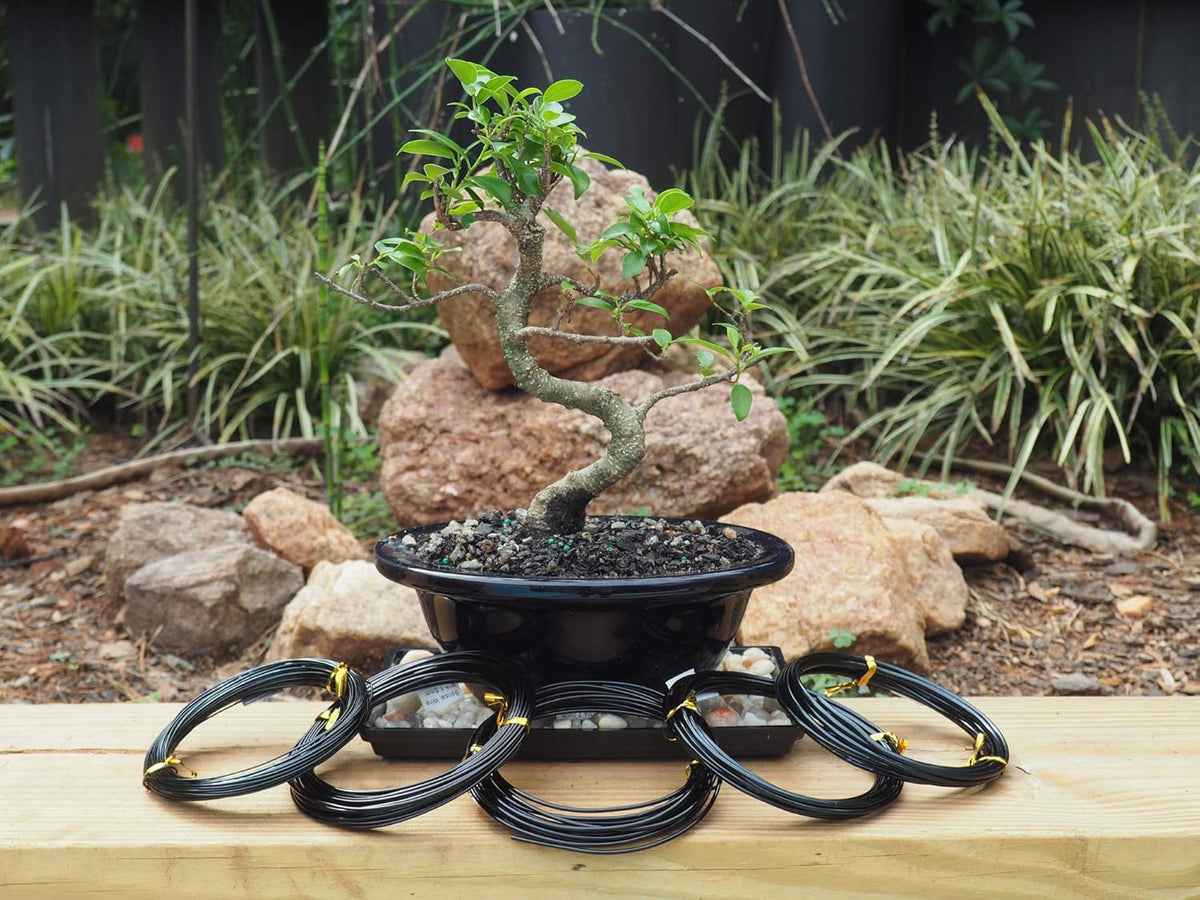 Anodized Aluminum Bonsai Training Wire 5-Size Starter Set with Canvas Bag - 1.0mm, 1.5mm, 2.0mm