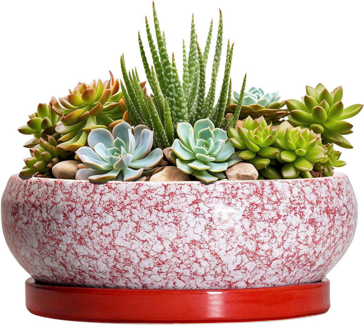 Succulent Pots - 8 Inch Bonsai Pots for Indoor Outdoor, Shallow Ceramic Planter with Drainage Hole