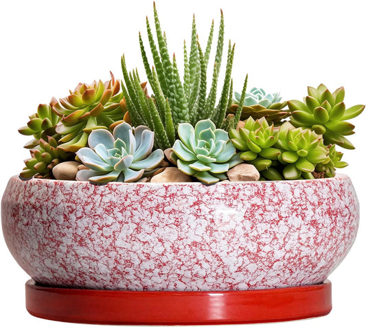 Succulent Pots - 8 Inch Bonsai Pots for Indoor Outdoor, Shallow Ceramic Planter with Drainage Hole