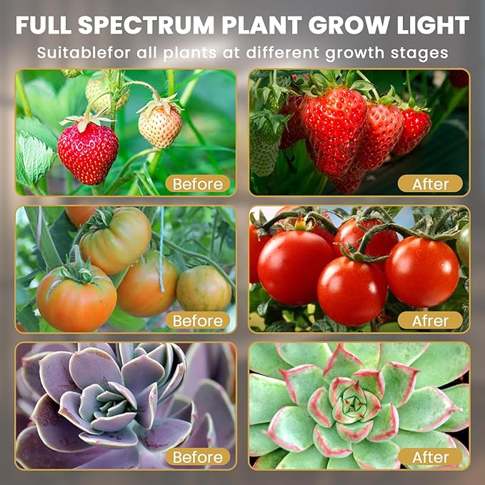 bseah Grow Light for Indoor Plants, Full Spectrum Plant Grow Lamp with 3/9/12H Timer, Auto ON &