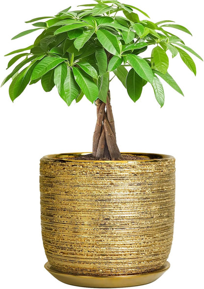 Ceramic Plant Pot 7 Inch - Ceramic Planter for Indoor Outdoor Plants, Round Modern Flower Pot with