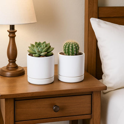 D'vine Dev Set of 4 Small Ceramic Plant Pots, 4.7 Inch Succulent Planter Pot for Plants with