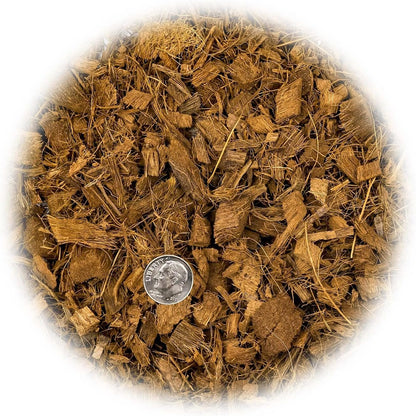 Premium Coconut Husk Chips and Fibers Mix for Orchids, Houseplant, Monstera and Fiddle Leaf Fig by