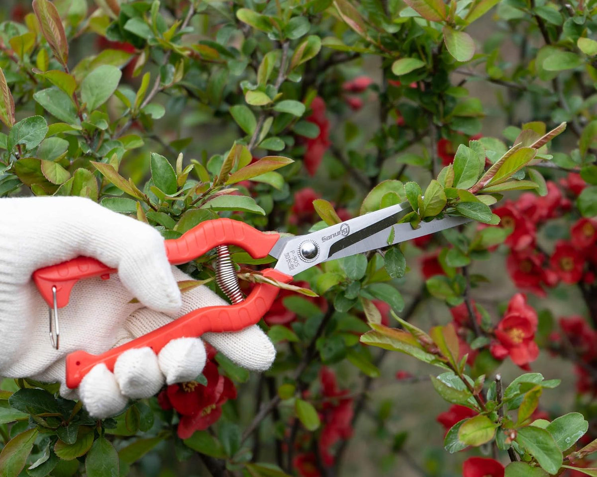 Sanung 2 PACK Multifunctional Thin Fruit Scissors, P-905 Garden Pruner Shears Cutters with