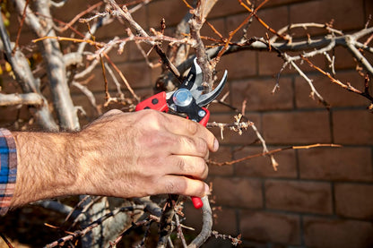 Corona BP 4180 Non-stick Steel Angled Bypass Hand Pruner - 5/8 inch Cut Capacity Stem and Branch