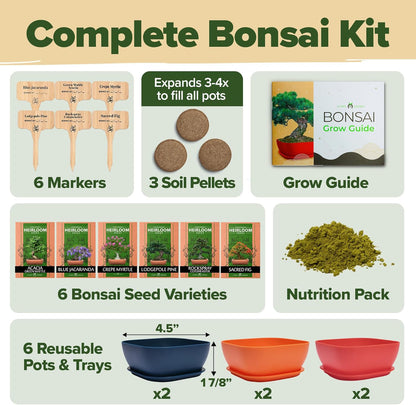 HOME GROWN 𝗨𝗦𝗔 Bonsai Tree Kit – 6 Heirloom Varieties with Unique Pots – DIY Bonsai Starter Kit
