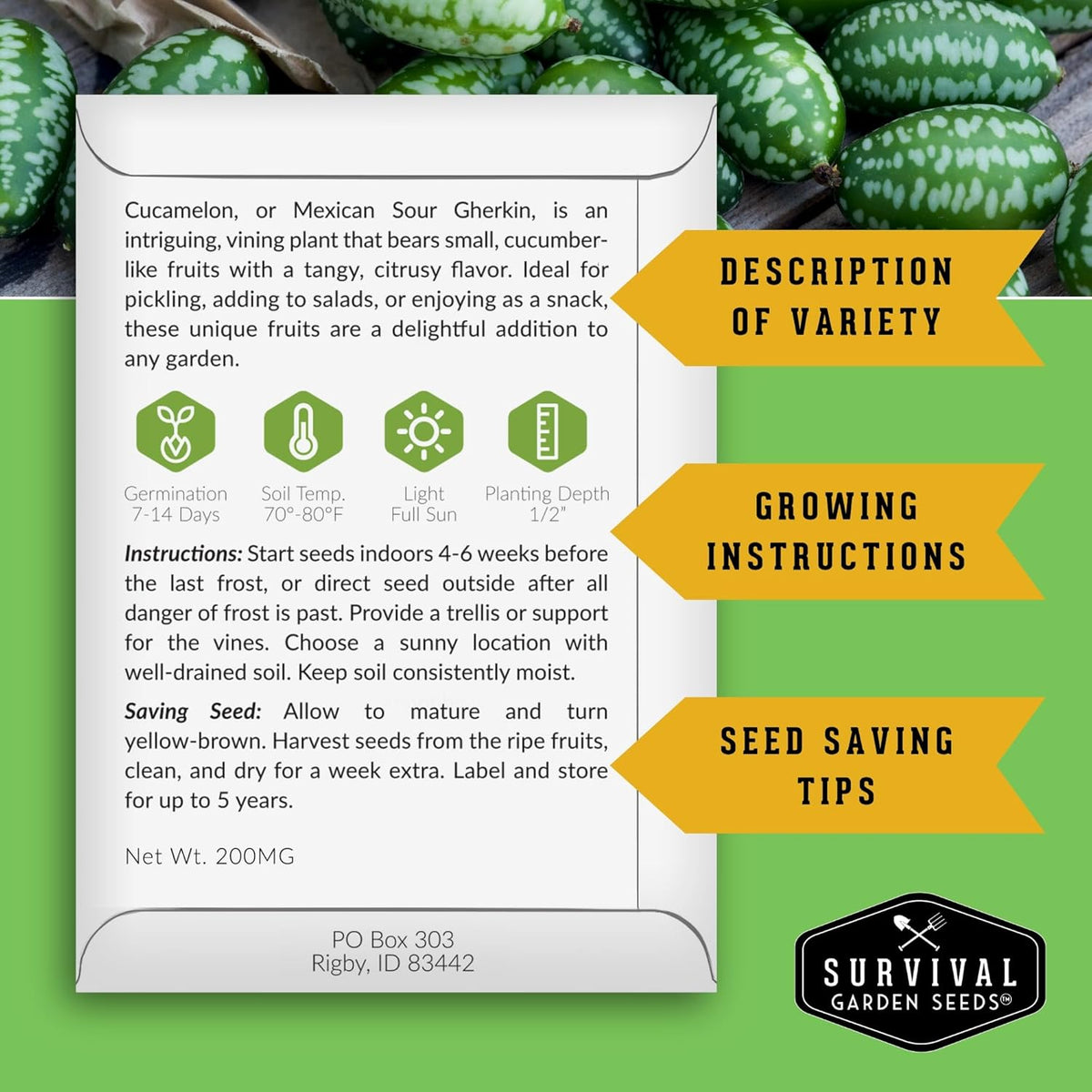 Fruit Seeds for Planting - 8 Variety Pack | Watermelon, Cantaloupe, Melon, Strawberry, Cucamelon