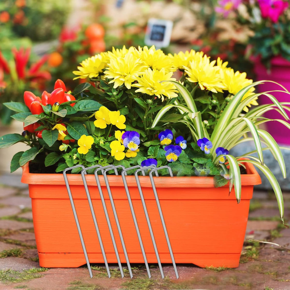 HongWay 300 Pack Landscape Staples 6 Inch, Galvanized Garden Staples Pins Ground Stakes Fence Tent
