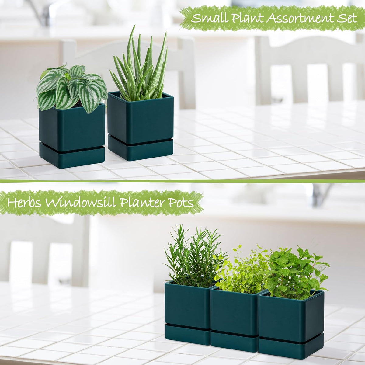 4 Inch Herb Planter Pot, Plastic Planter with Drainage Holes and Saucer, Modern Decorative