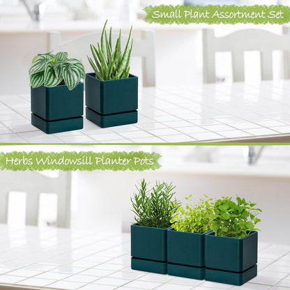 4 Inch Herb Planter Pot, Plastic Planter with Drainage Holes and Saucer, Modern Decorative