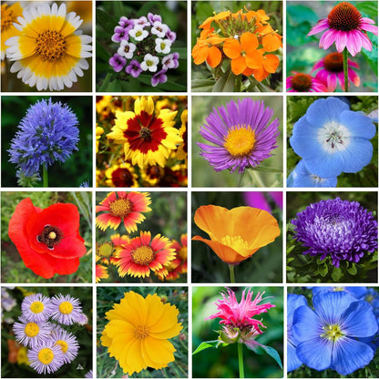Mini Wildflower Seed Shaker - Save The Bees Seed Mix, by GevaGrow | 80,000+ Seeds | Pollinator &
