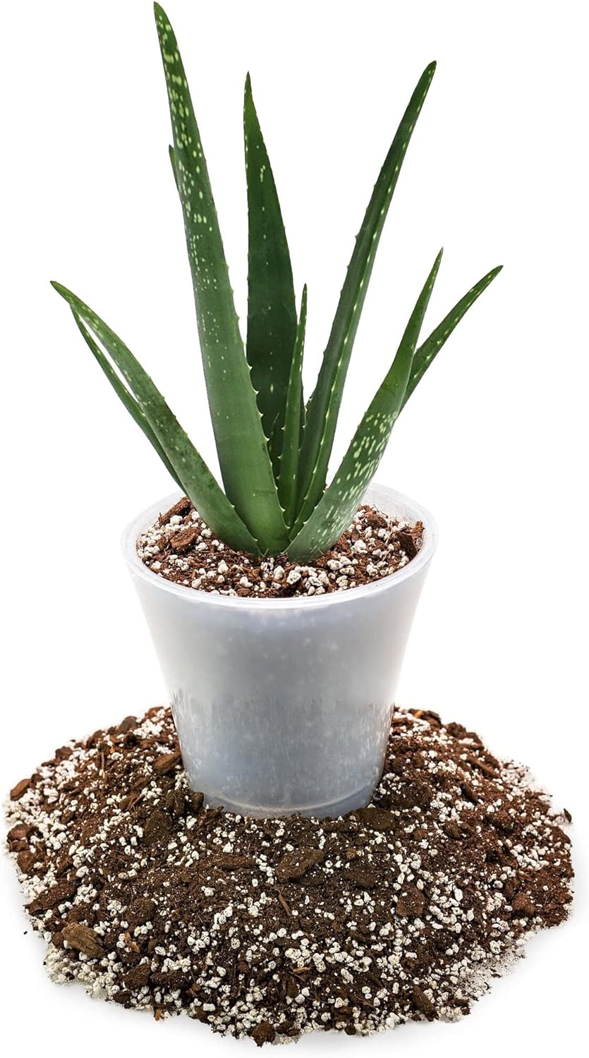 GARDENERA Premium Aloe Vera Potting Soil Mix - 10 Quart - (2 Bags of 5QT)