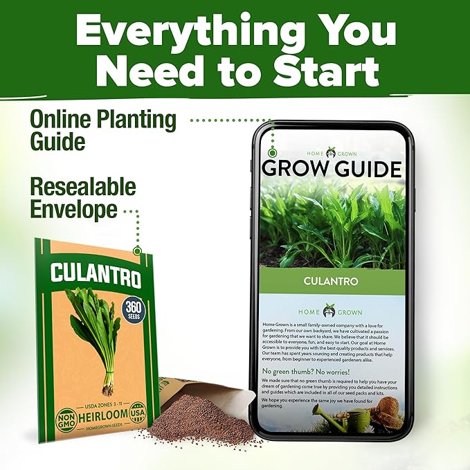HOME GROWN 𝗨𝗦𝗔 𝗣𝗥𝗘𝗠𝗜𝗨𝗠 Culantro Seeds 360 Herb Seeds for Planting Non-GMO Heirloom