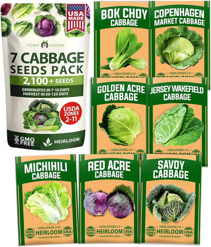 HOME GROWN 7 Cabbage Seeds for Planting - 2000+ Heirloom 𝗡𝗢𝗡-𝗚𝗠𝗢 𝗨𝗦𝗔 Seeds - Golden