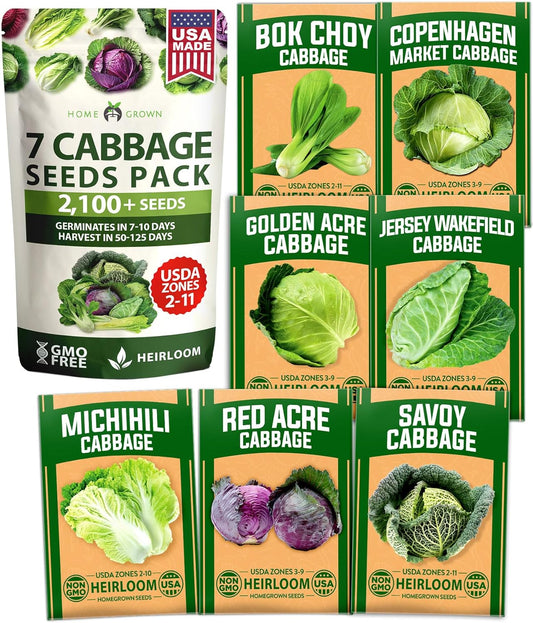 HOME GROWN 7 Cabbage Seeds for Planting - 2000+ Heirloom 𝗡𝗢𝗡-𝗚𝗠𝗢 𝗨𝗦𝗔 Seeds - Golden