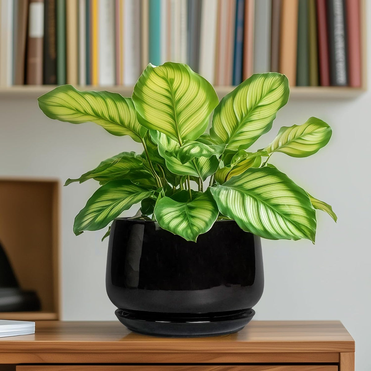 G EPGardening 6 Inch Planter - Ceramic Pot for Plants, Ceramic Planter with Drainage and Saucer