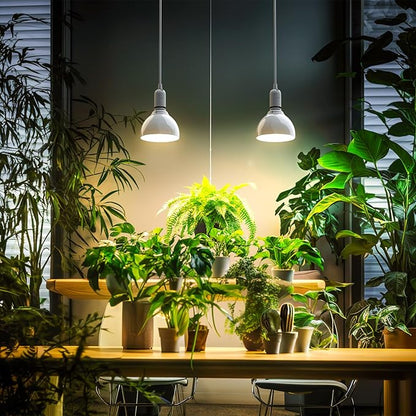 Barrina LED Grow Light Bulb, 50W (2 x 25W) Full Spectrum, with 16.4FT Power Cord, Hanging Grow