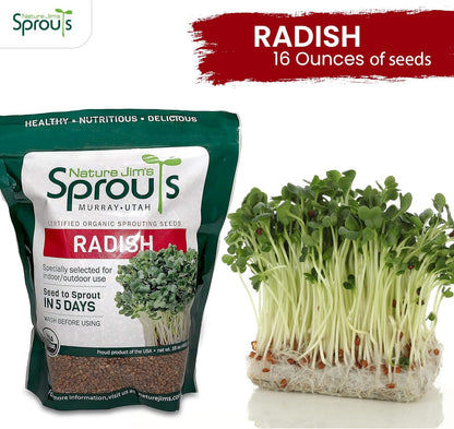Nature Jims Radish Sprout Seeds – 16 Ounce Organic Sprouting Seeds – Non-GMO Premium Radish