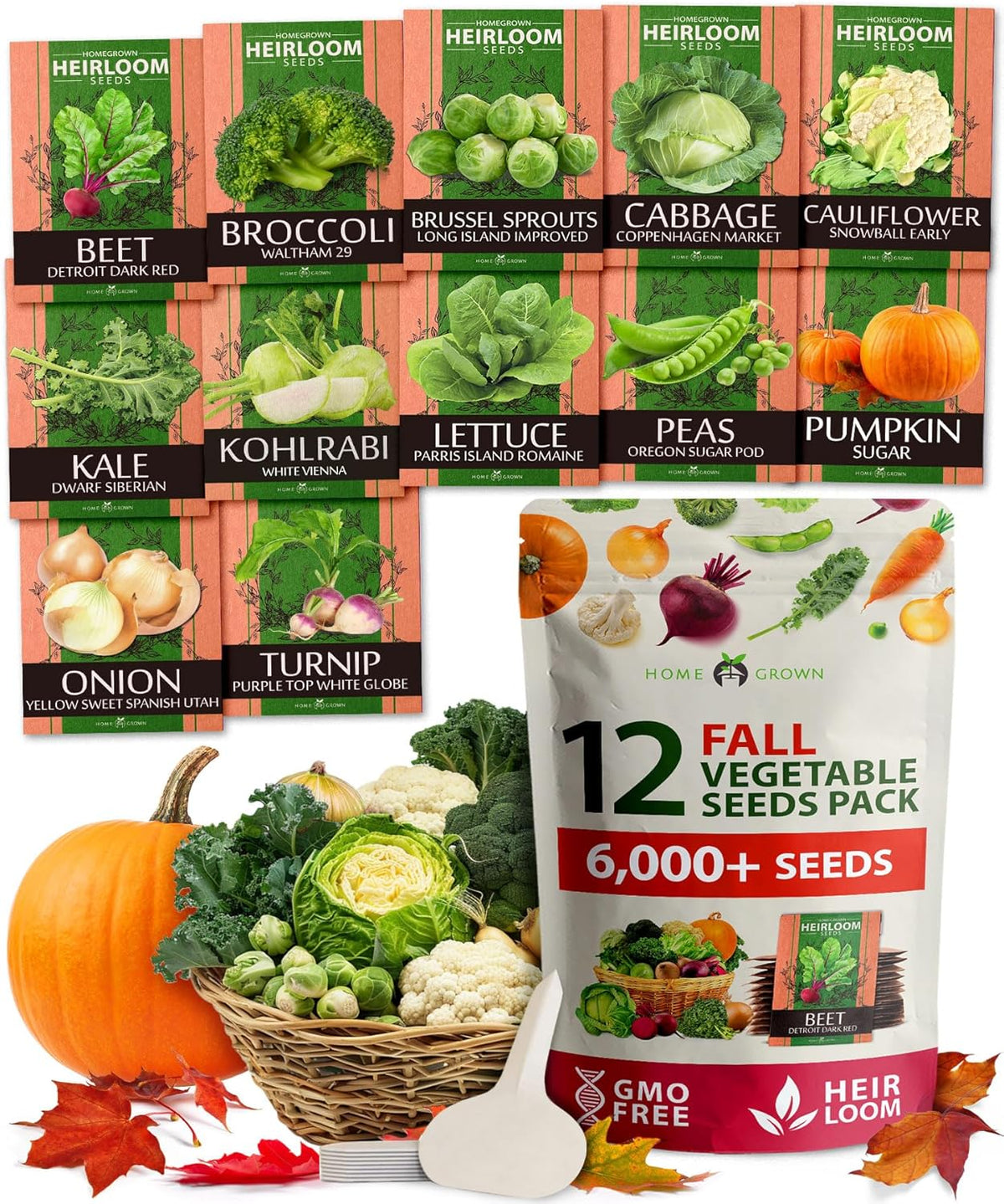 HOME GROWN 12 Fall Vegetable Seeds 6,000+ 𝗨𝗦𝗔 Heirloom 𝗡𝗢𝗡-𝗚𝗠𝗢 Seeds for Fall & Winter