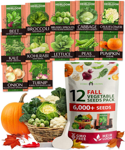HOME GROWN 12 Fall Vegetable Seeds 6,000+ 𝗨𝗦𝗔 Heirloom 𝗡𝗢𝗡-𝗚𝗠𝗢 Seeds for Fall & Winter