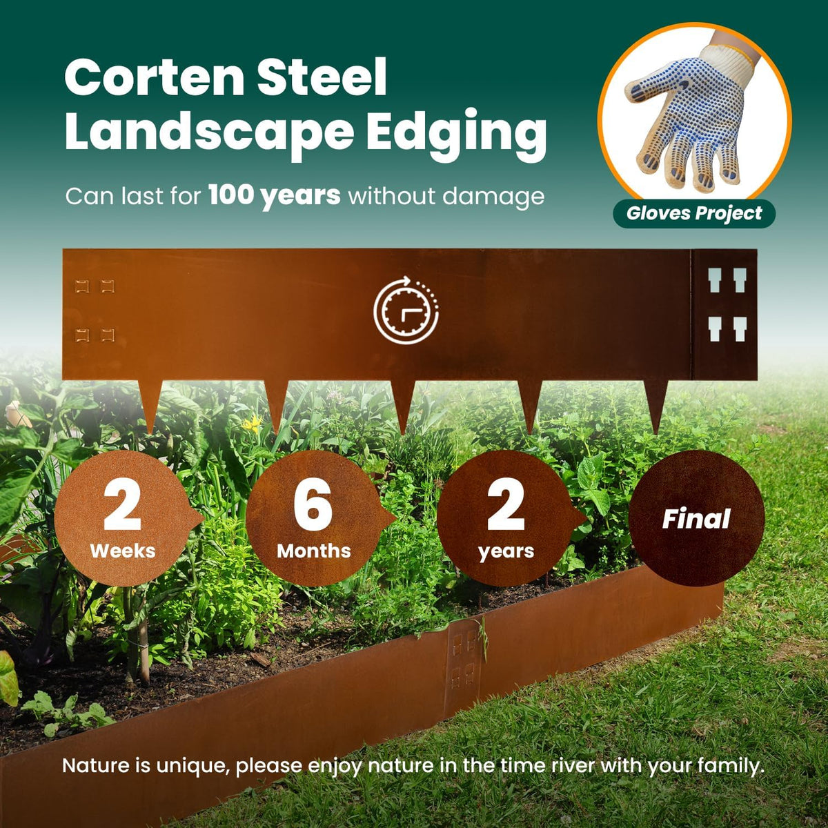 Corten Steel Edging Steel Landscaping Edging 40 Inch Strips 12 Inch Depth Garden Landscape Edging