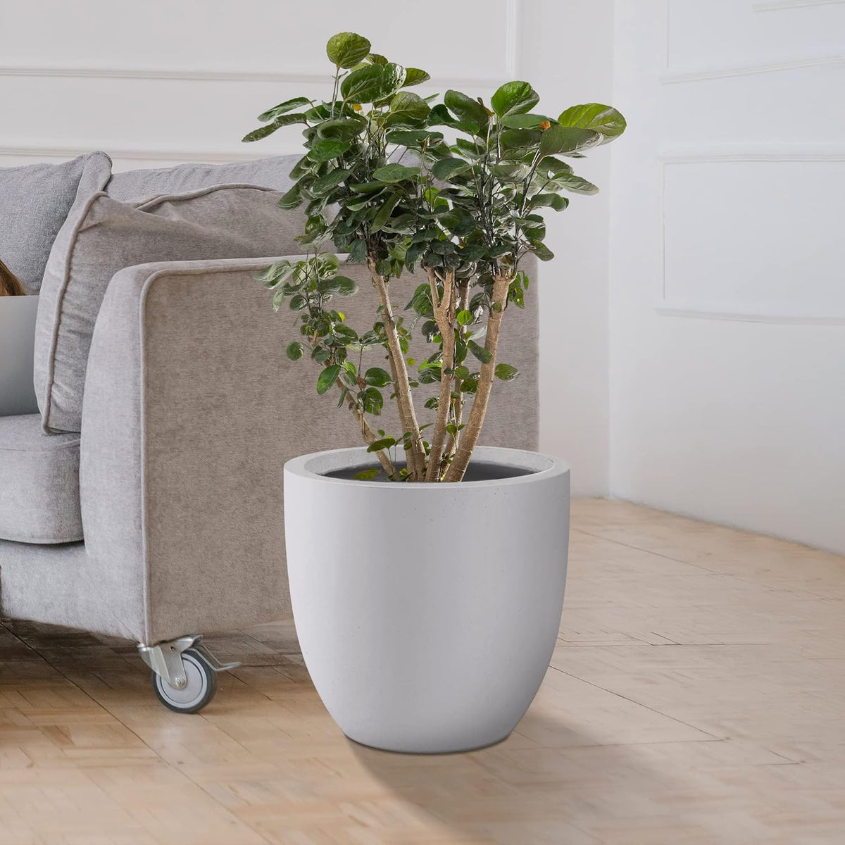 Kante 16.5" Dia Round Concrete Planter, Large Outdoor Modern Indoor Decorative Plant Pots with