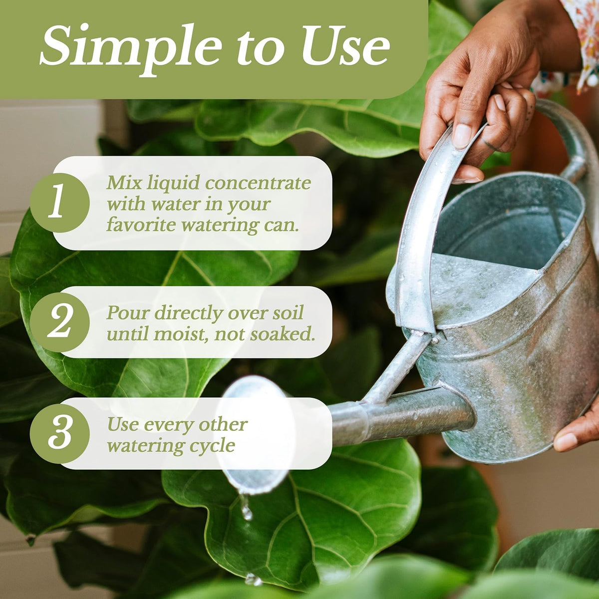 Professional Liquid Indoor Plant Fertilizer | 3-1-2 Concentrate for Plants and Flowers |