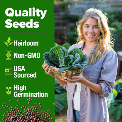 HOME GROWN Georgia Southern Collard Green Seeds – Bulk 2 Pack (600 High-Germination Non-GMO