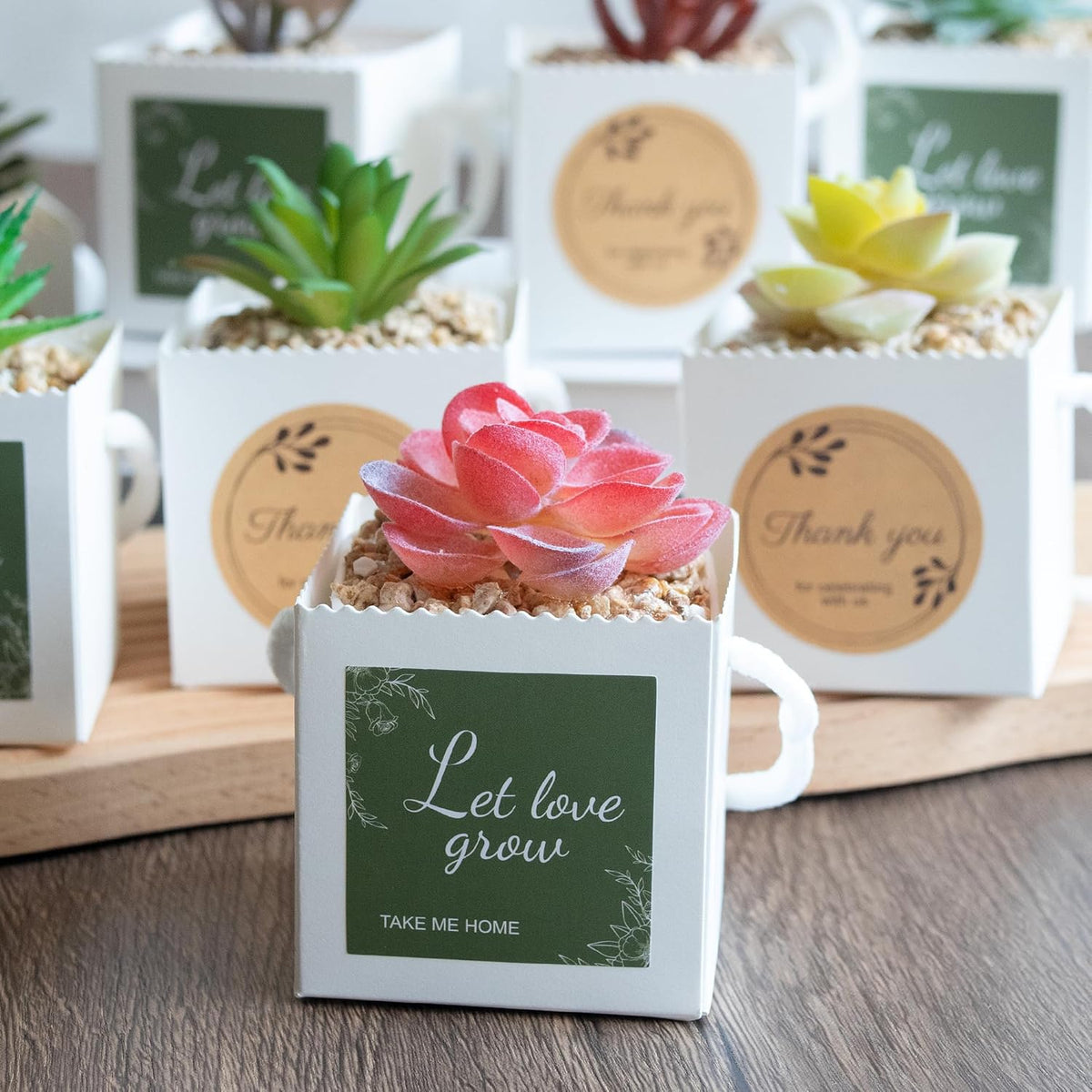 Temlum 2.5 Inch Succulent Wrap Bags (Fits 2.5″ Pots) with Thank You & Let Love Grow Stickers, Small