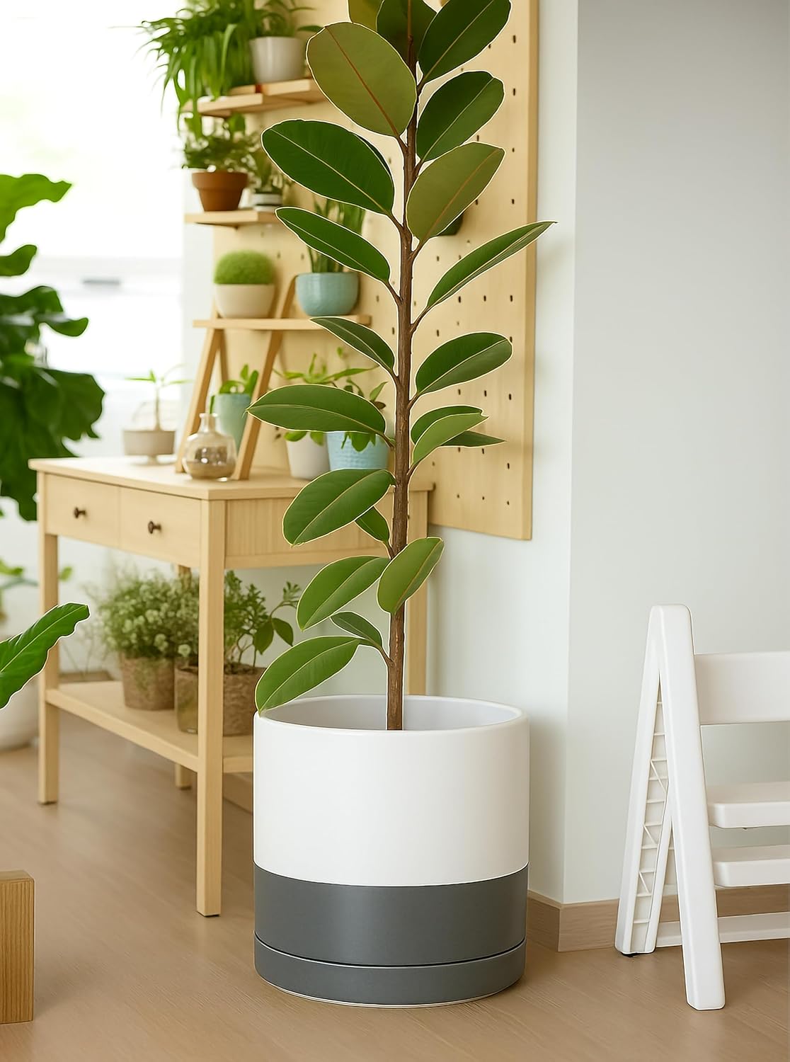 D'vine Dev 14 Inch Ceramic Planter Pot with Drainage Hole and Saucer, Indoor Cylinder Round Planter