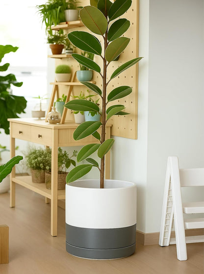 D'vine Dev 14 Inch Ceramic Planter Pot with Drainage Hole and Saucer, Indoor Cylinder Round Planter