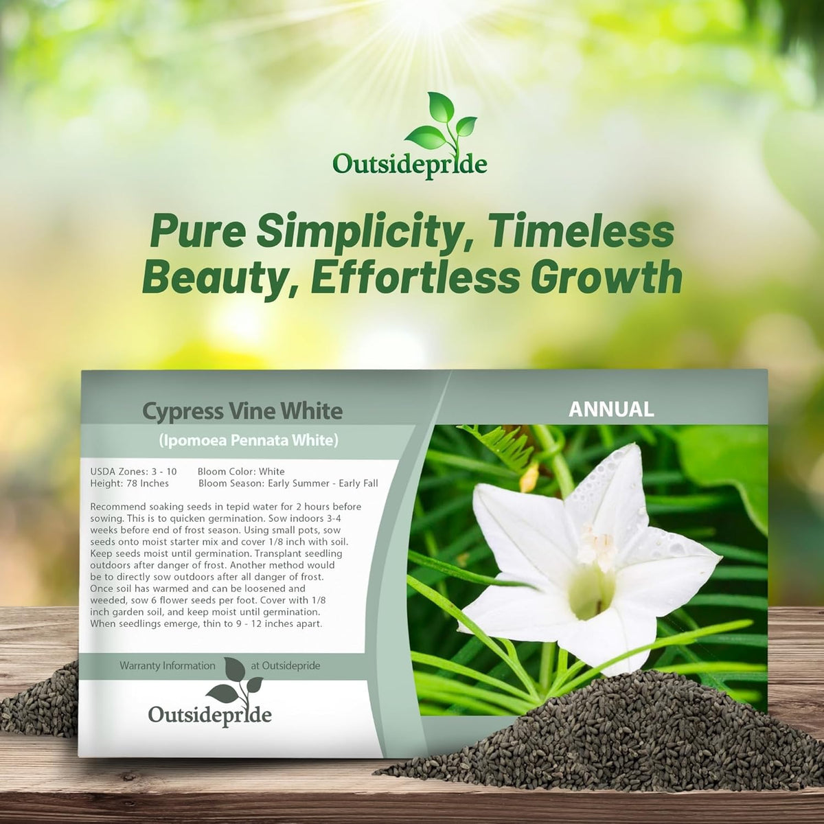 Outsidepride White Cypress Vine Seeds - 100 Pcs Annual Flower Seeds with Nectar-Rich, Star-Shaped