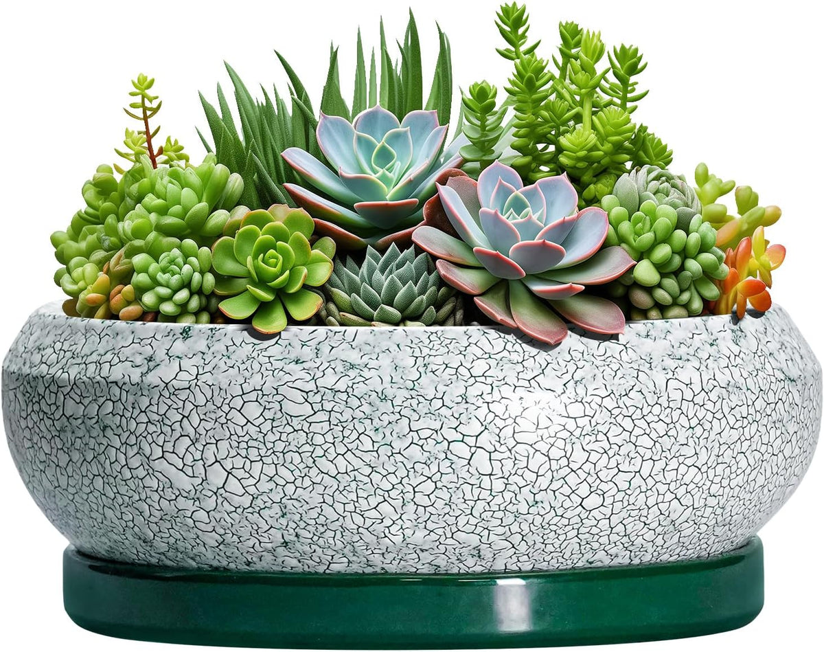 Succulent Planters 10 Inch - Ceramic Bonsai Pots with Drainage Hole and Saucer, Large Succulent