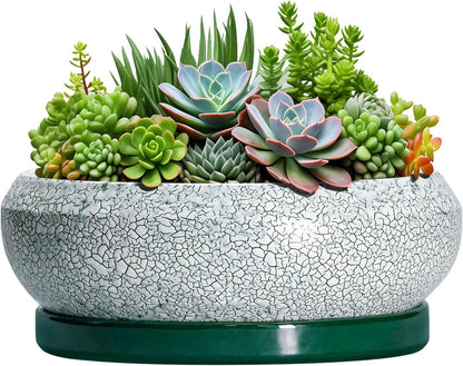 Succulent Planters 10 Inch - Ceramic Bonsai Pots with Drainage Hole and Saucer, Large Succulent