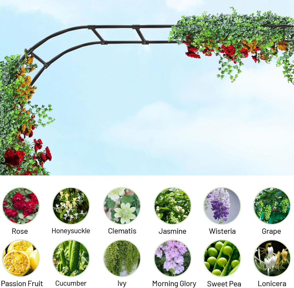 Twira Garden Arch Trellis, 7.9FT(240cm) Metal Garden Arbor Trellis for Climbing Plants Outdoor
