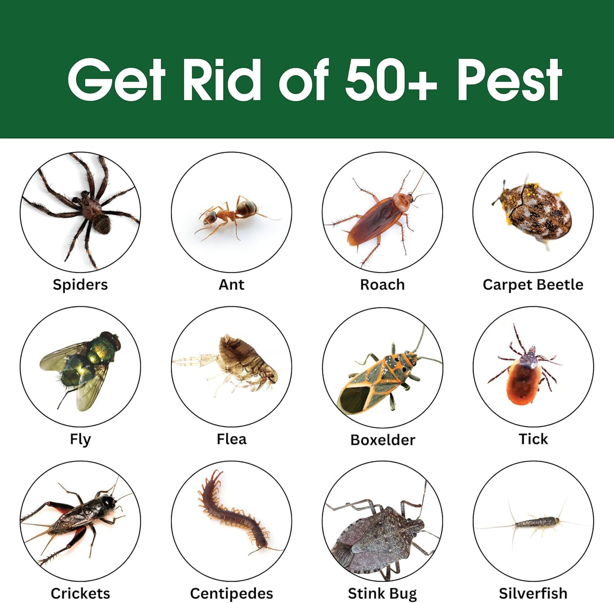 Insect & Pest Control Spray – Natural Essential - Bug Killer & Insect Repellent, Kills Ant