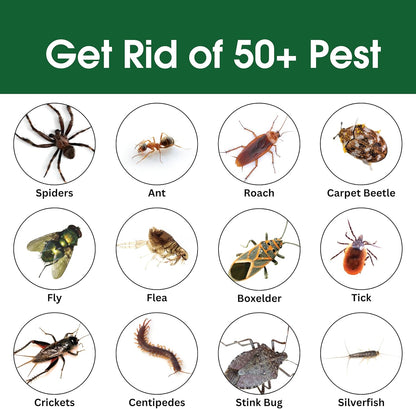 Insect & Pest Control Spray – Natural Essential - Bug Killer & Insect Repellent, Kills Ant