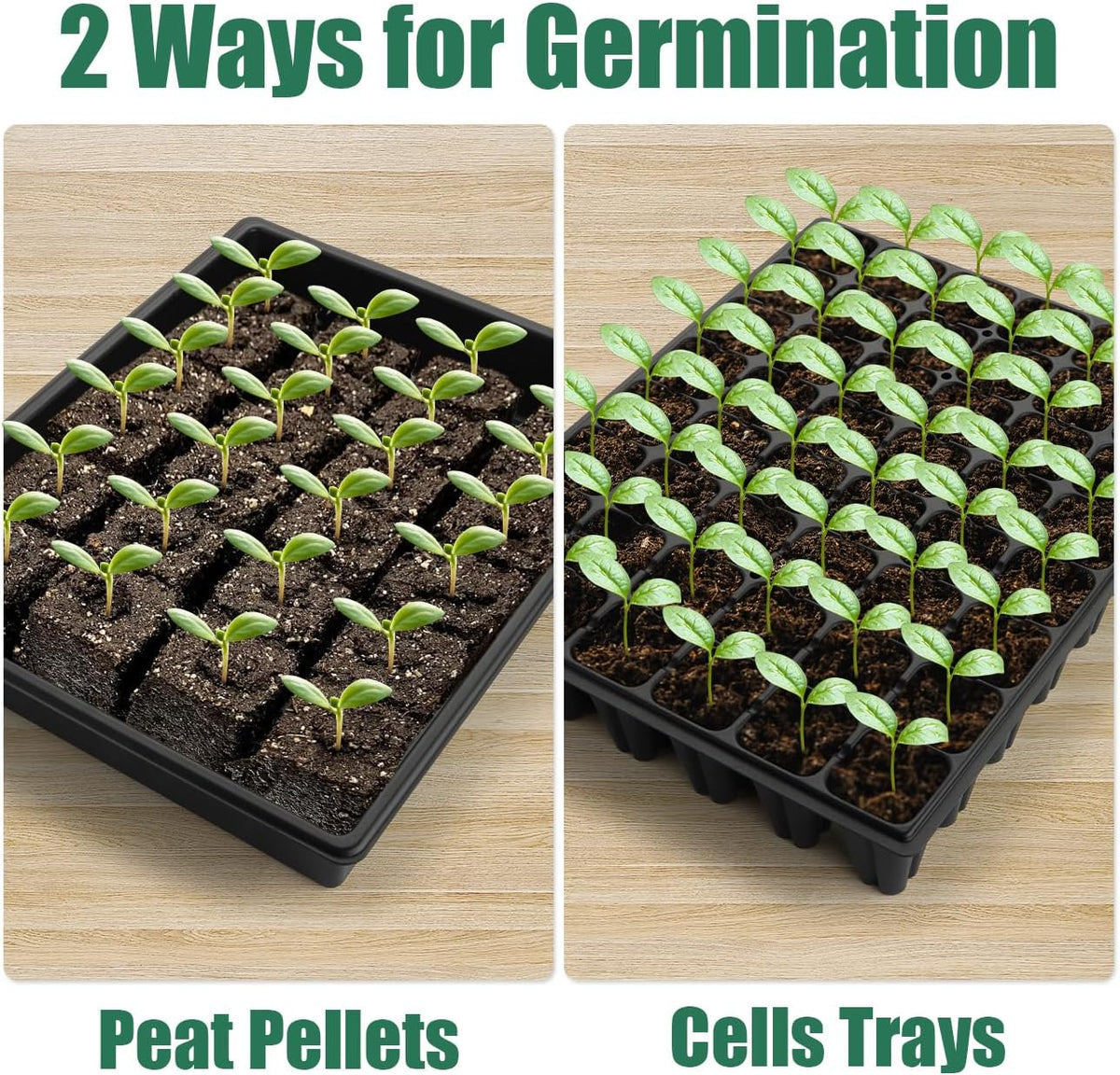 5-Pack No Drip Seed Starter Trays with 4" Humidity Dome - 240 Cells Deep Root Plug Trays, 2.76"