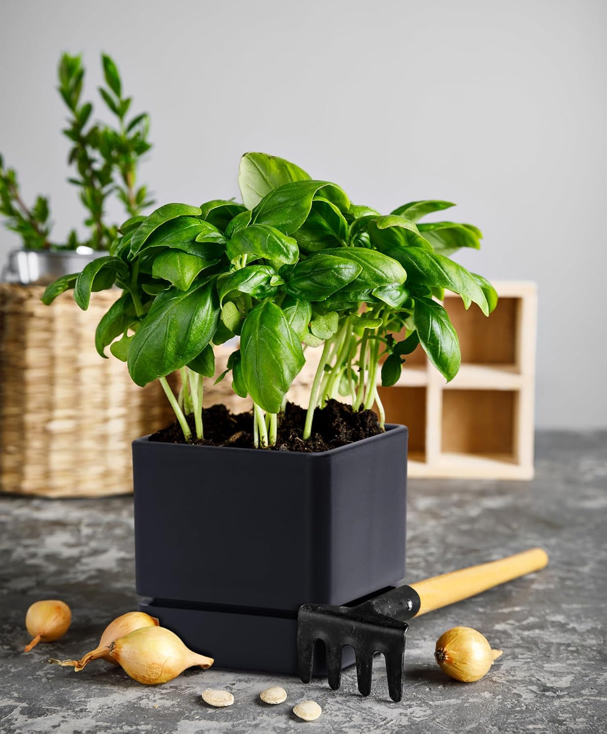 4 Inch Herb Planter Pot, Plastic Planter with Drainage Holes and Saucer, Modern Decorative