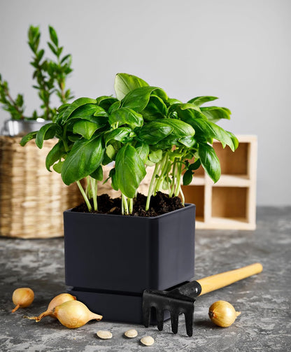 4 Inch Herb Planter Pot, Plastic Planter with Drainage Holes and Saucer, Modern Decorative