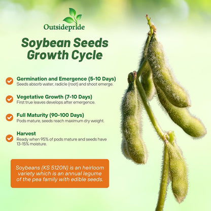 Outsidepride Soybean Seeds - 25 lbs High-Protein & High Yield Heirloom Variety Soy Beans, Ideal for