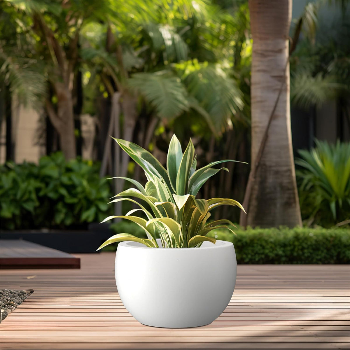 Kante 11.8" Dia Round Concrete Planter, Outdoor/Indoor Large Bowl Plant Pots with Drainage Hole and